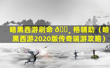 暗黑西游刷命 🌸 格辅助（暗黑西游2020版传奇端游攻略）